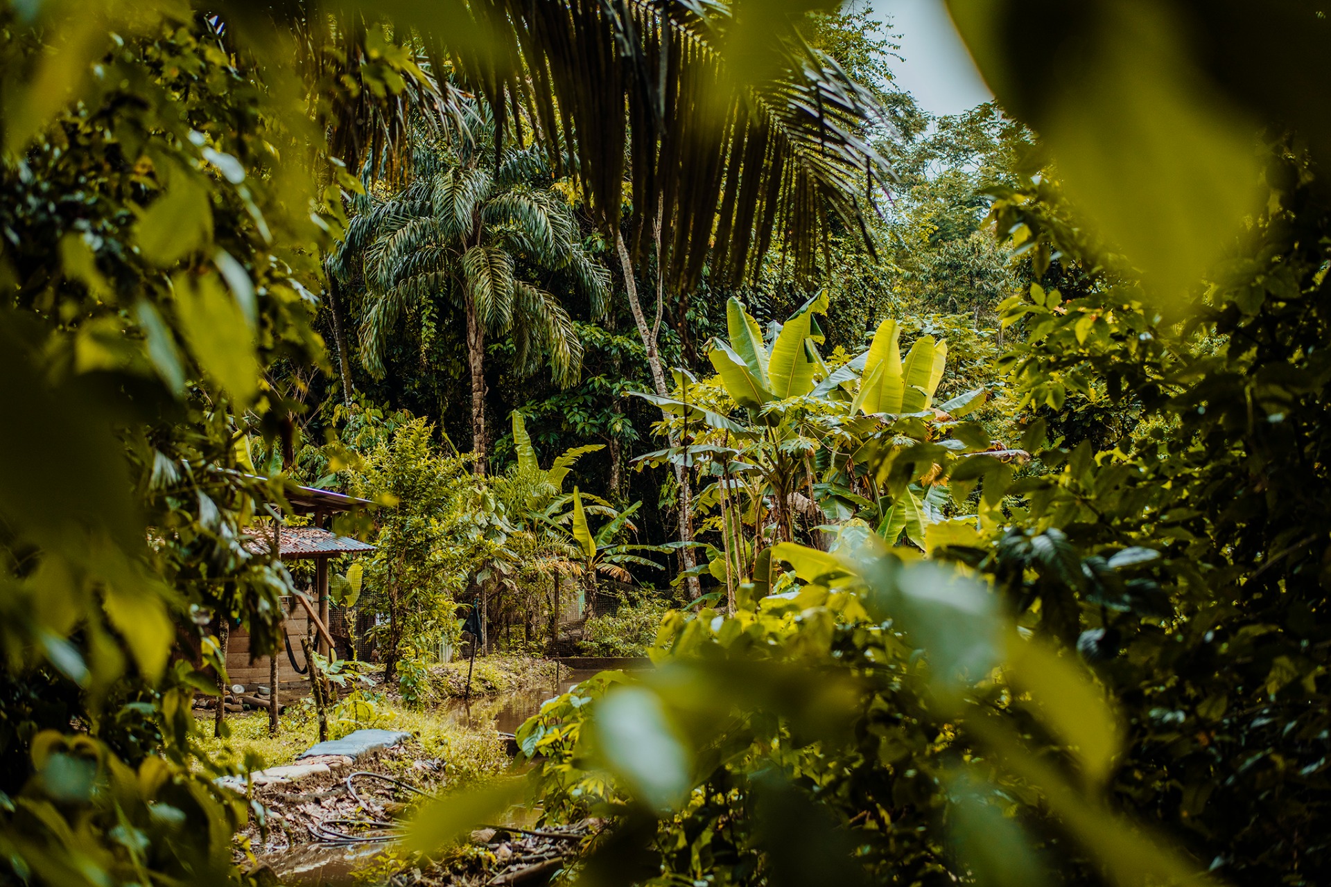 22.-28.3.2026 Dobrovolnický pobyt