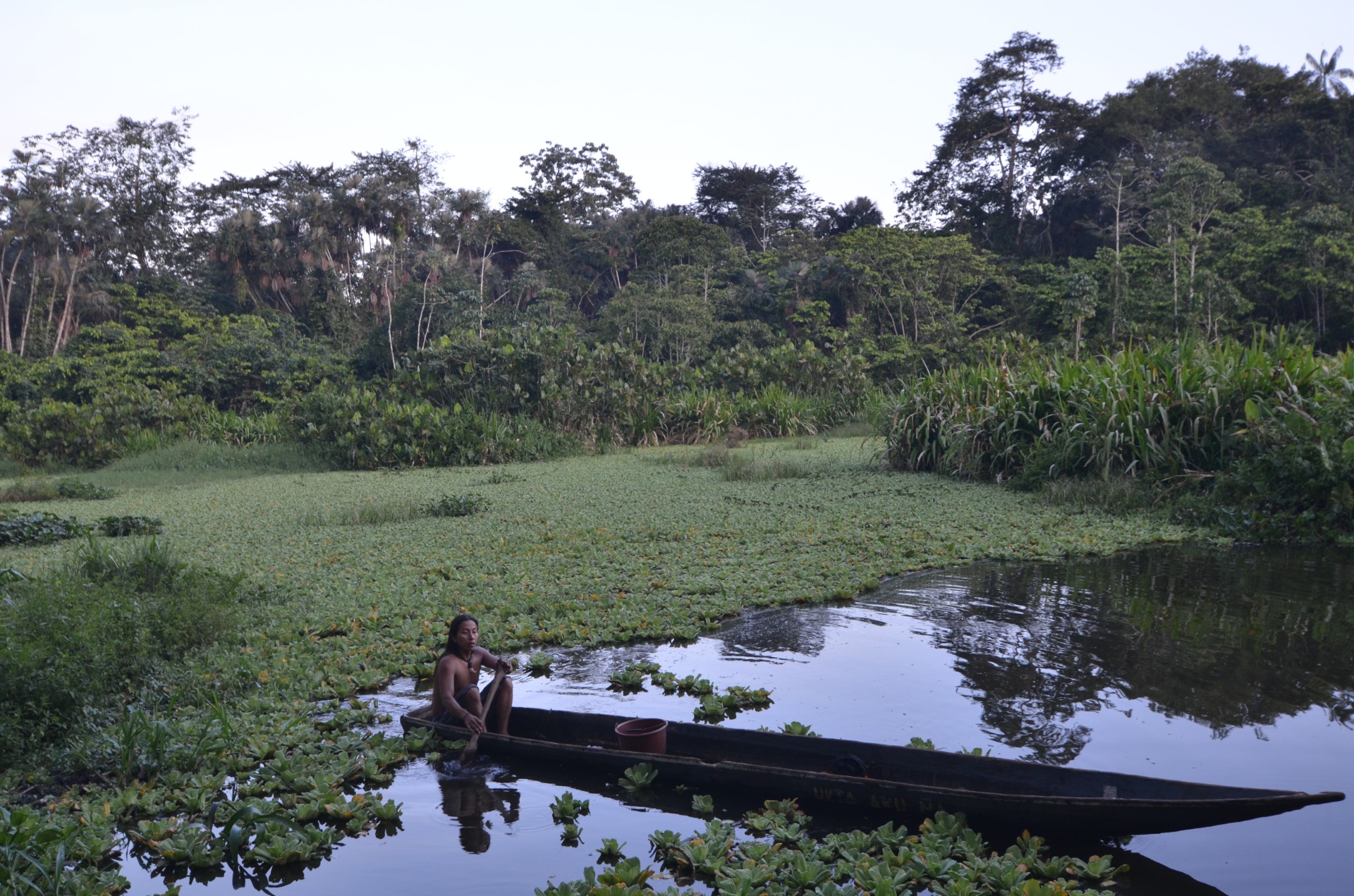 7.3.- 20.3.2026 Dobrodružná cesta pro ty, kteří chtějí poznat život v pralese a strávit společný čas s místními domorodci